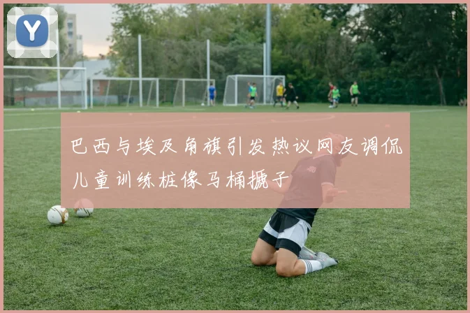 巴西与埃及角旗引发热议网友调侃儿童训练桩像马桶搋子