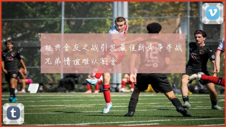 经典舍友之战引发最佳新秀争夺战兄弟情谊难以割舍